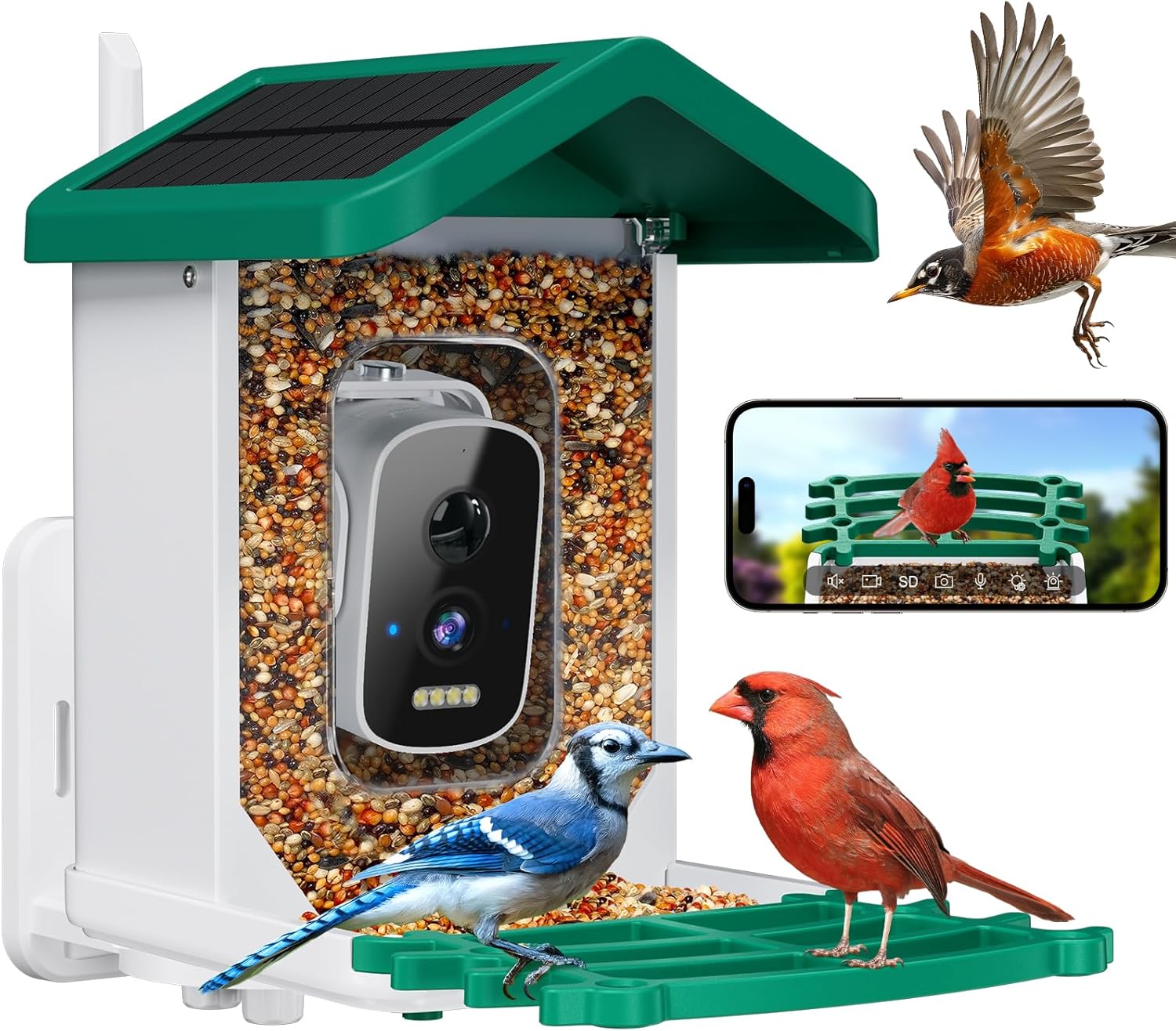 Smart Bird Feeder with Camera, AI Bird Species Identification Solar Po