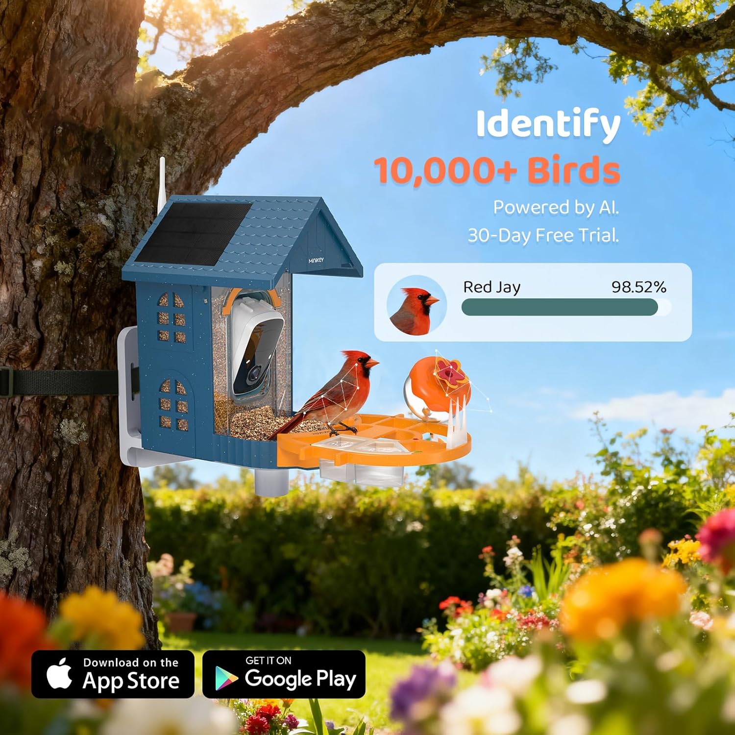 Smart Bird Feeder with Camera Outdoor Birdhouse:AI Identifies 11000+ S