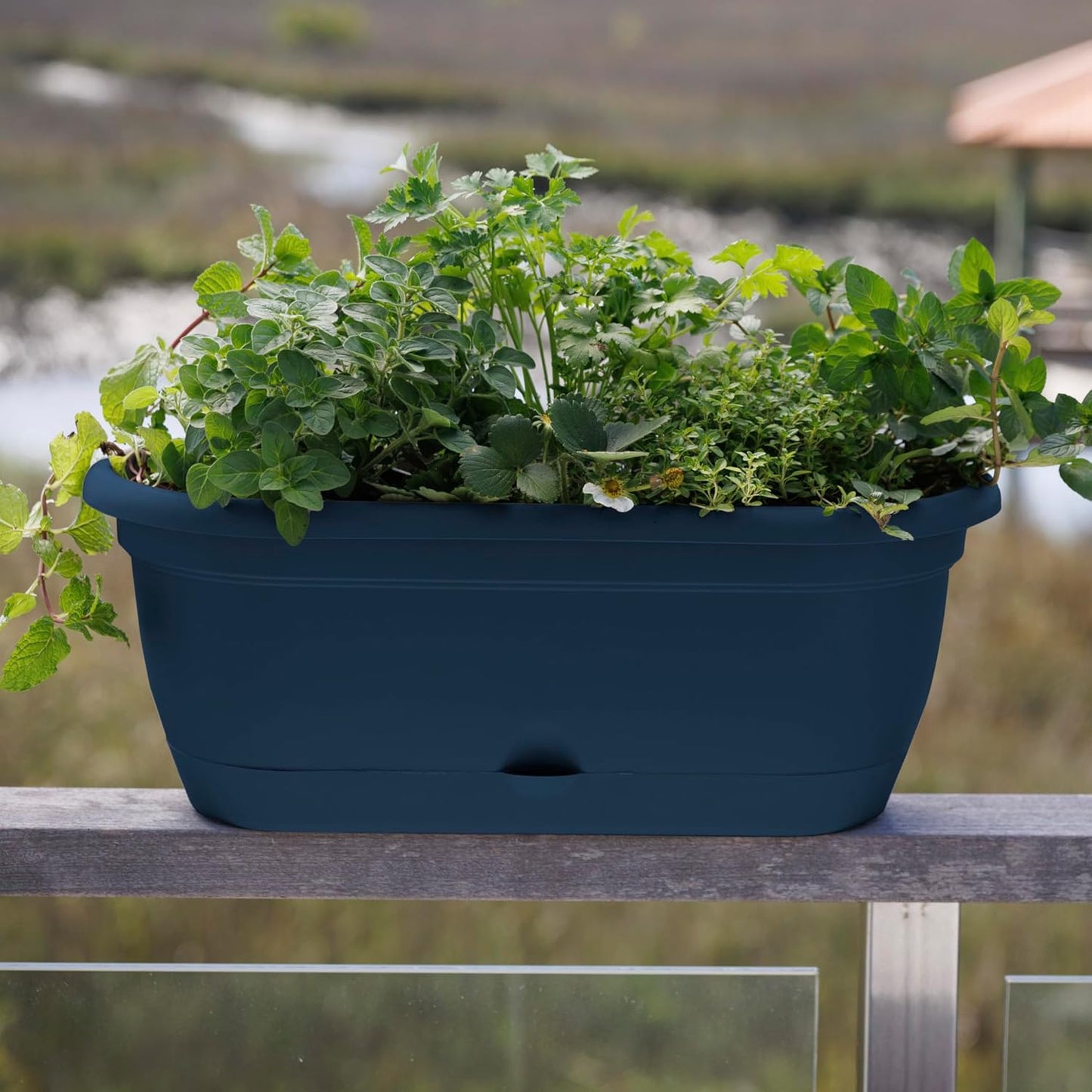 Bloem Lucca 18" Navy Self-Watering Oval Window Box Garden Planter Pot 