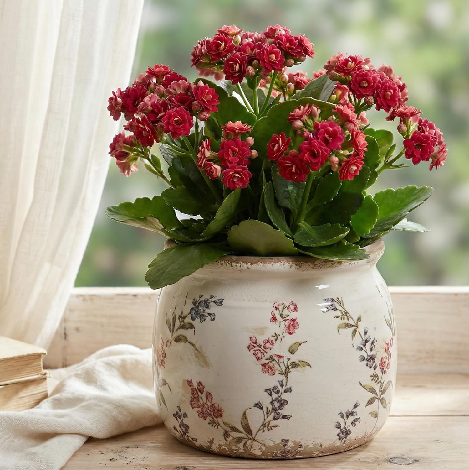 Flower Pots, Vintage Ceramic Planters for Indoor Plants, 6.29'' Plant 