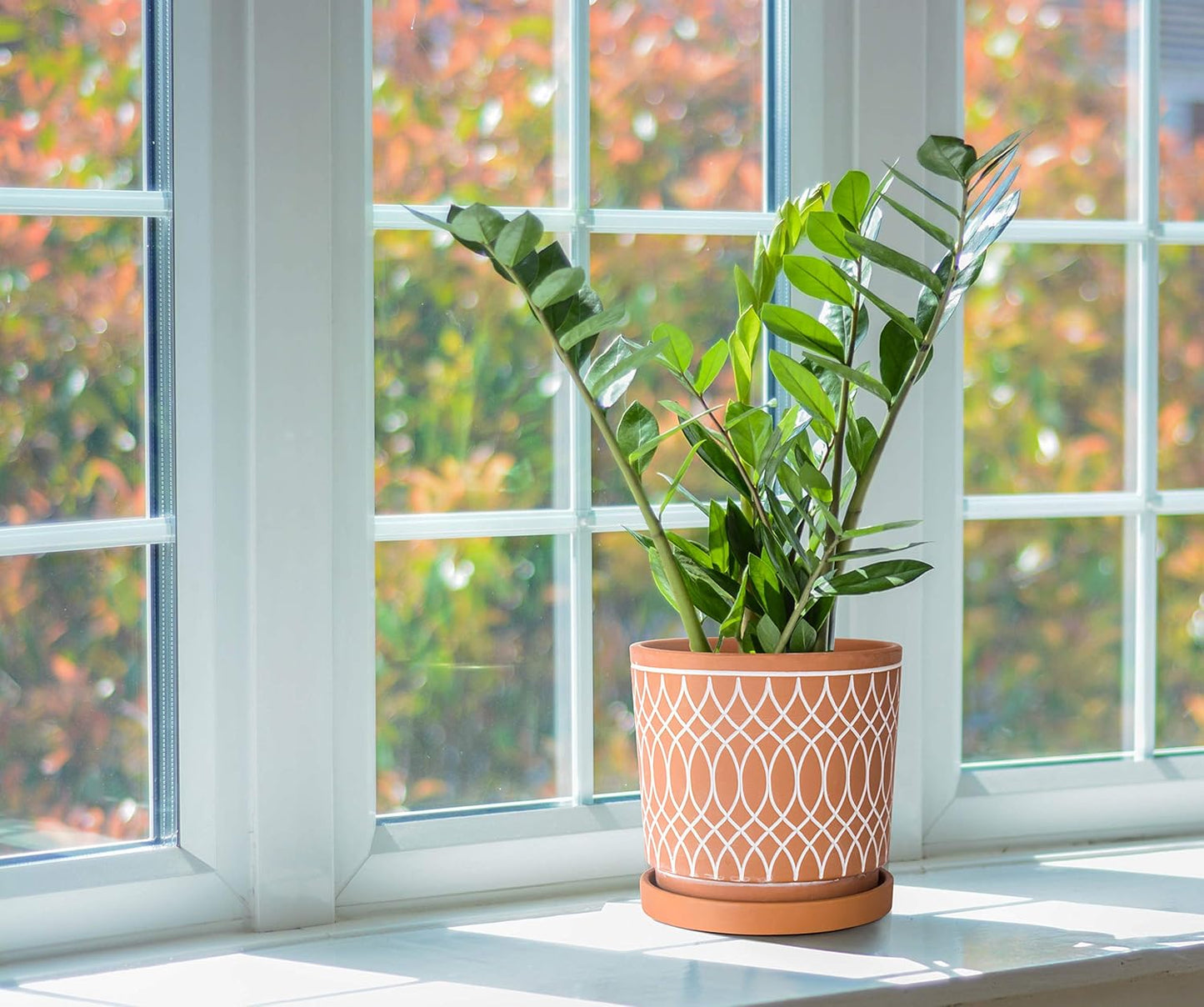 D'vine Dev Set of 2 Terracotta Pots, 4 Inch and 6 Inch, Planter Pots for Plants with Drainage Holes and Saucers, Terracotta/White, 31-958-C-1