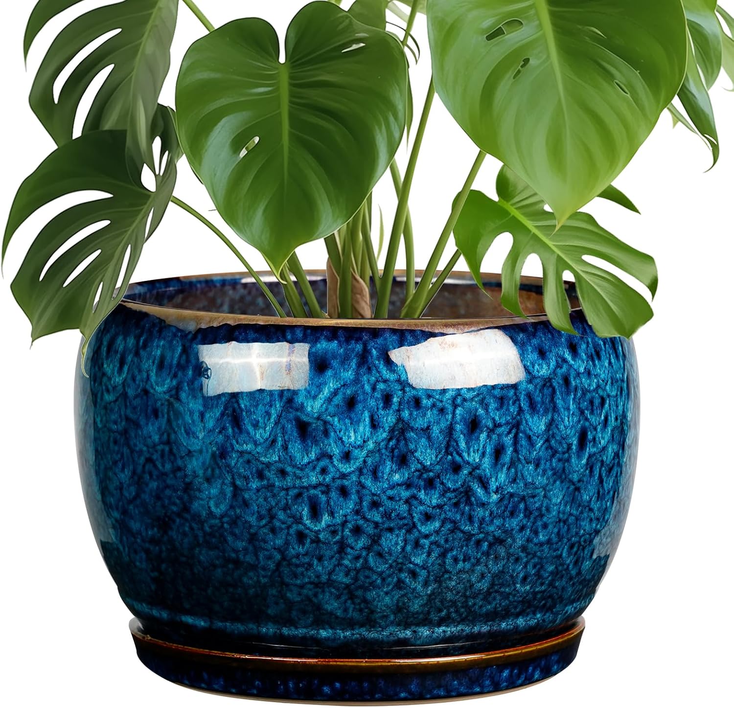 SQOWL 10 Inch Plant Pot - Ceramic Planter Pot with Drainage Hole and S