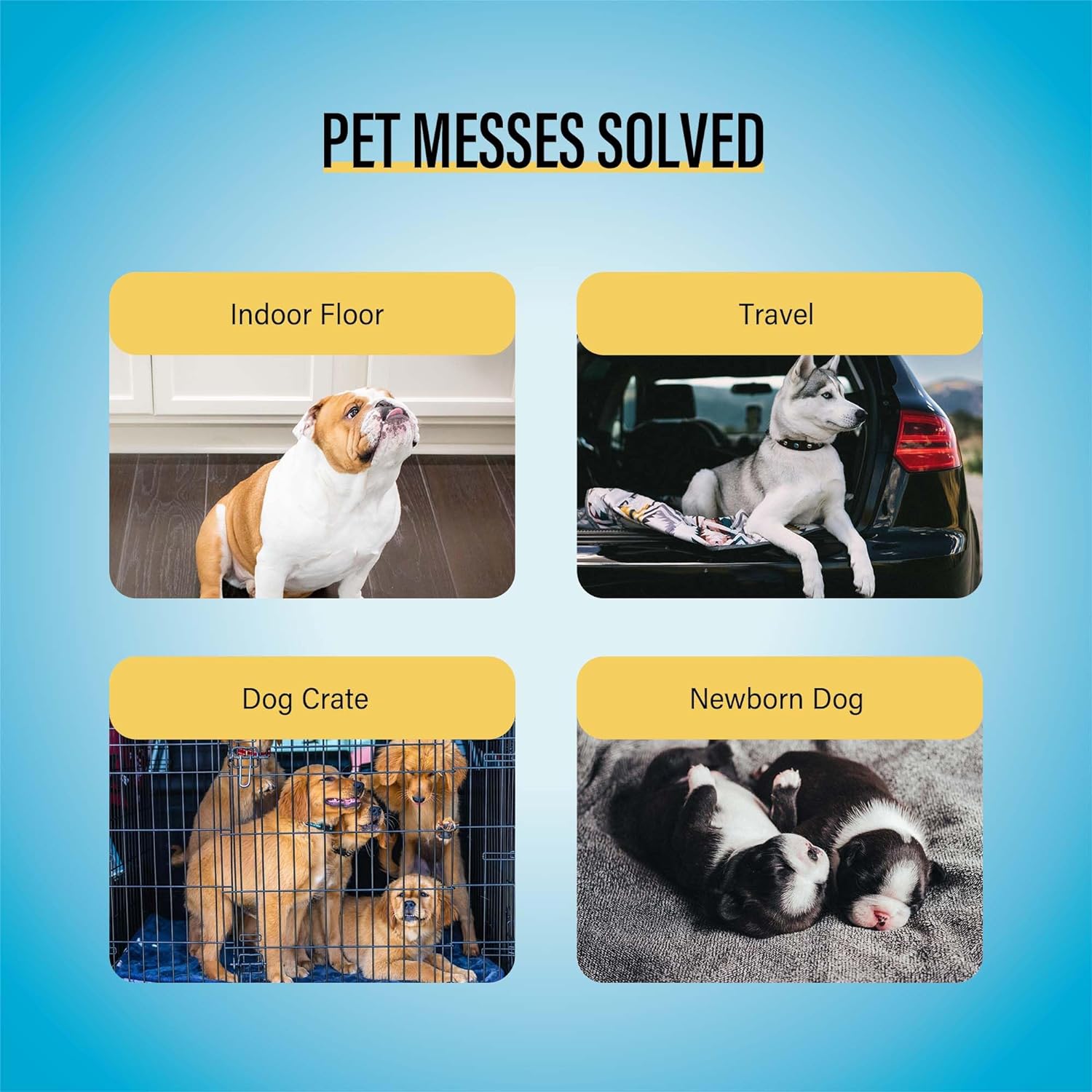 COCOYO Best Value 22"x22" Dog Training Pads 50 Count | Dog Pee Pads | 