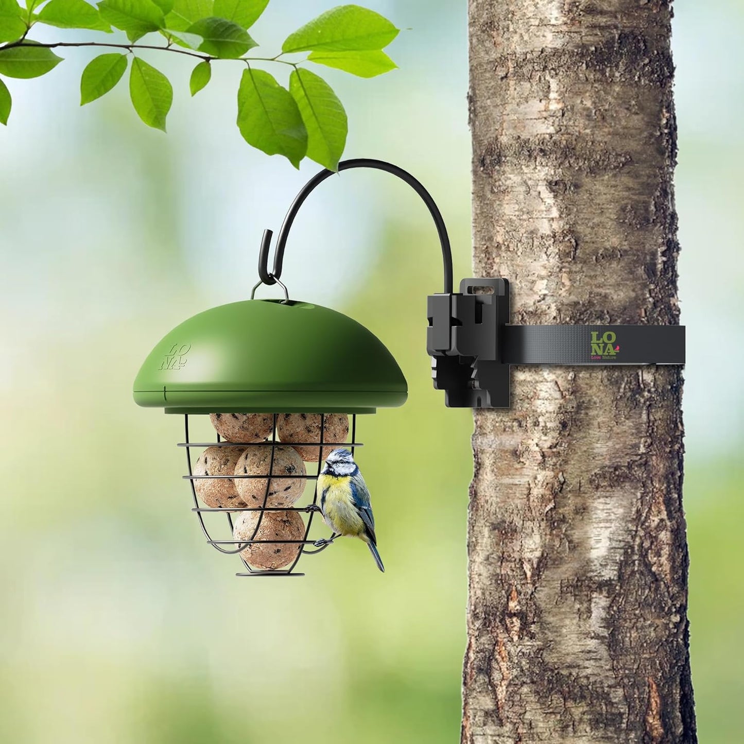 LONA Suet Ball Bird Feeder Outdoor Hanging Fat Ball Feeders with Versatile Mount Durable Weatherproof Washable Transparent Tube Wire Steel Metal Feeder for Wild Birds