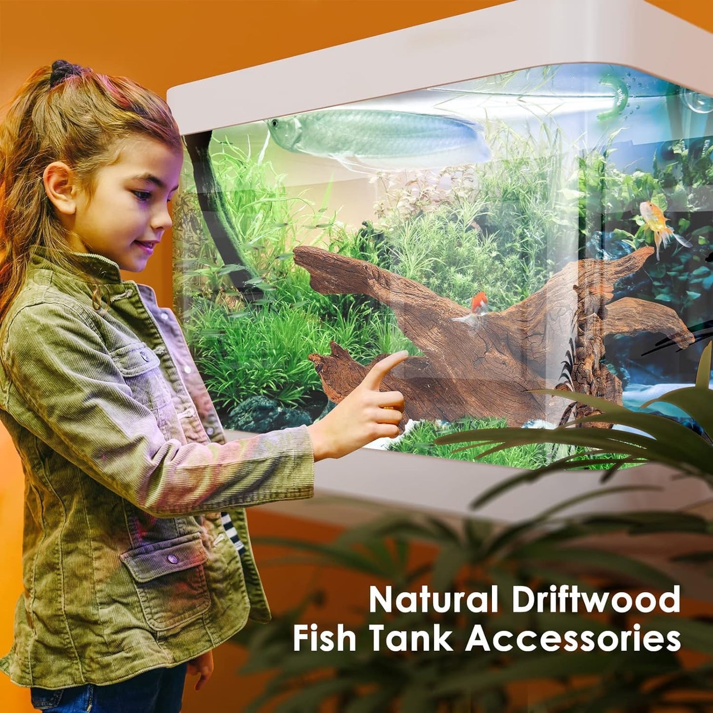 Jorewood Natural Aquarium Driftwood for Fish Tanks & Reptile Terrarium