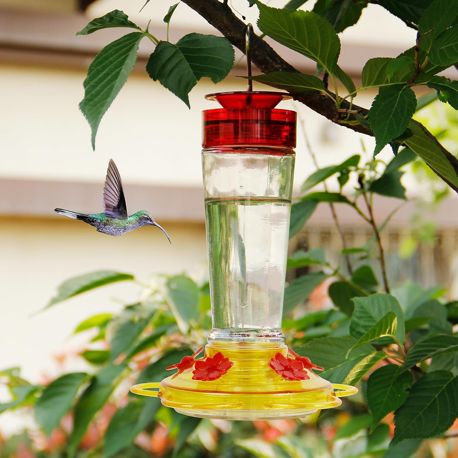 Shrdaepe Hummingbird Feeder, Glass Bottle Bird Feeders, 5 Feeding Port