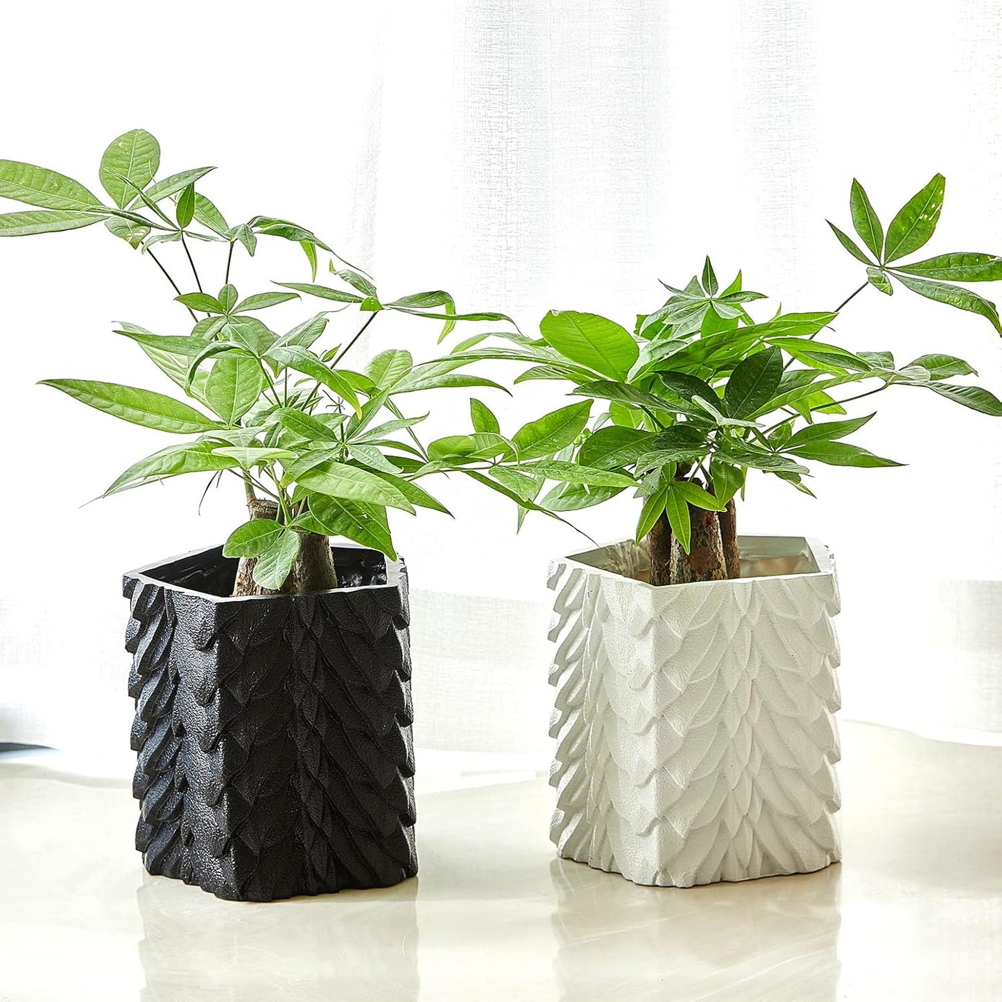 GUTE Dragon Scales Planter Pot & Vase Decanter - GOT, Fantasy I Plant and I Know Things - Black Marble Color 6" Flower Plant Vase - Dragón Monster Cylindrical for Home & Indoor