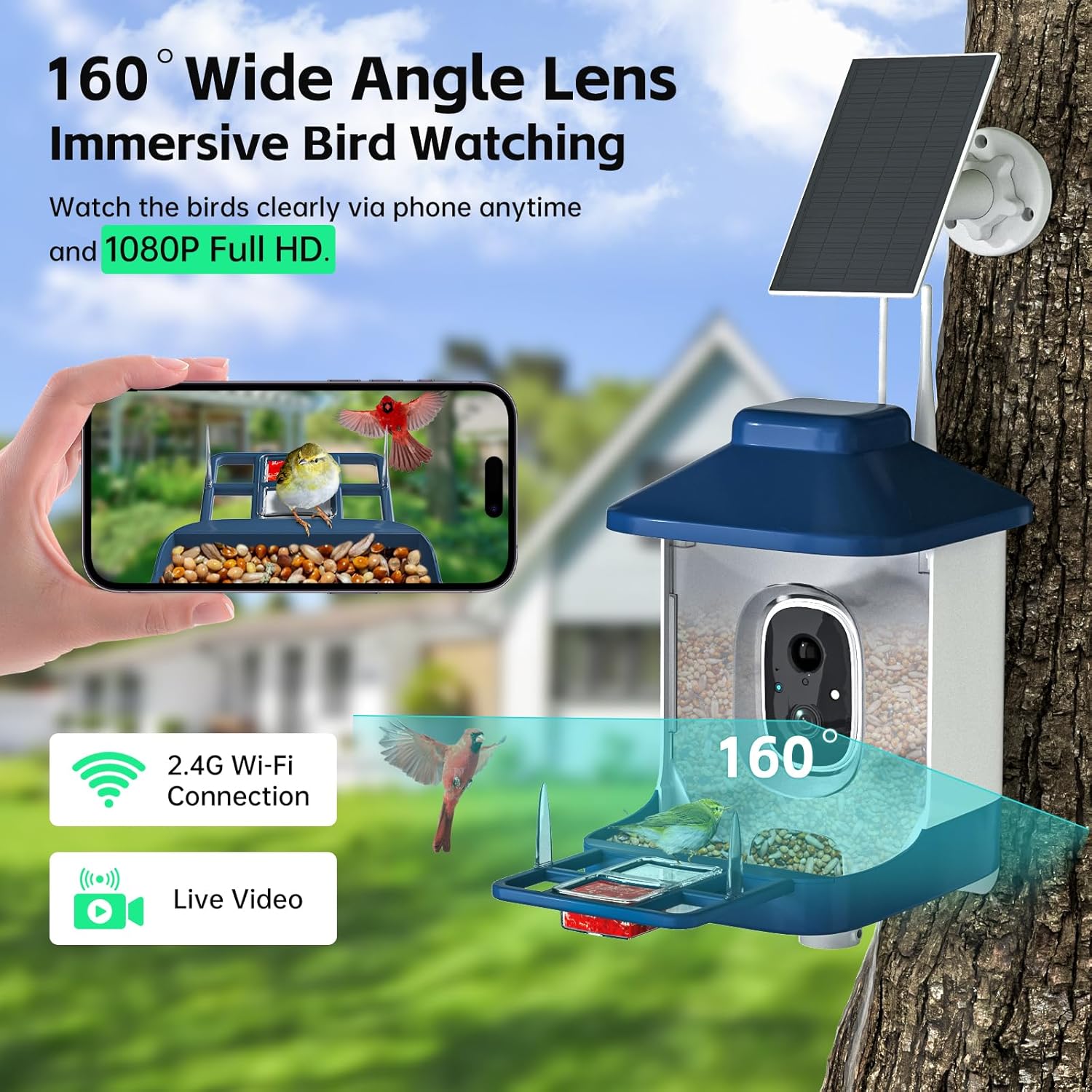 Bird Feeder with Camera, AI Bird Identification, Full HD Live Video, S
