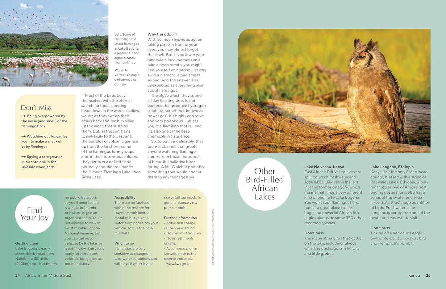 Lonely Planet The Joy of Birdwatching