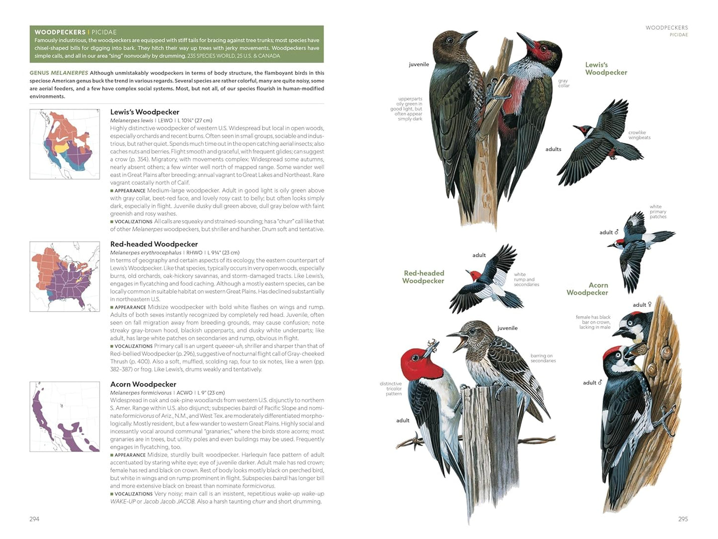 National Geographic Field Guide to the Birds of the United States and 