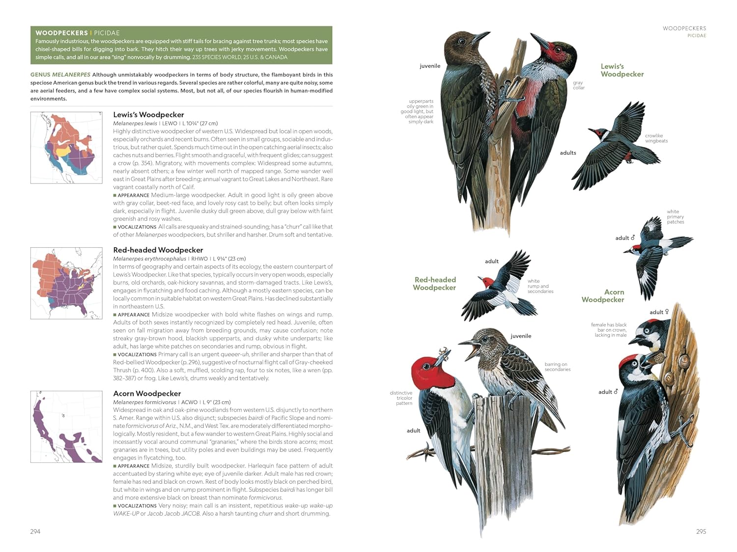 National Geographic Field Guide to the Birds of the United States and 
