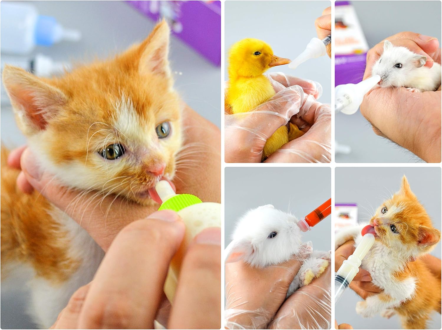 Puppy Kitten Bottle for Nursing, Newborn Baby Dog Cat Rabbit Feeding B
