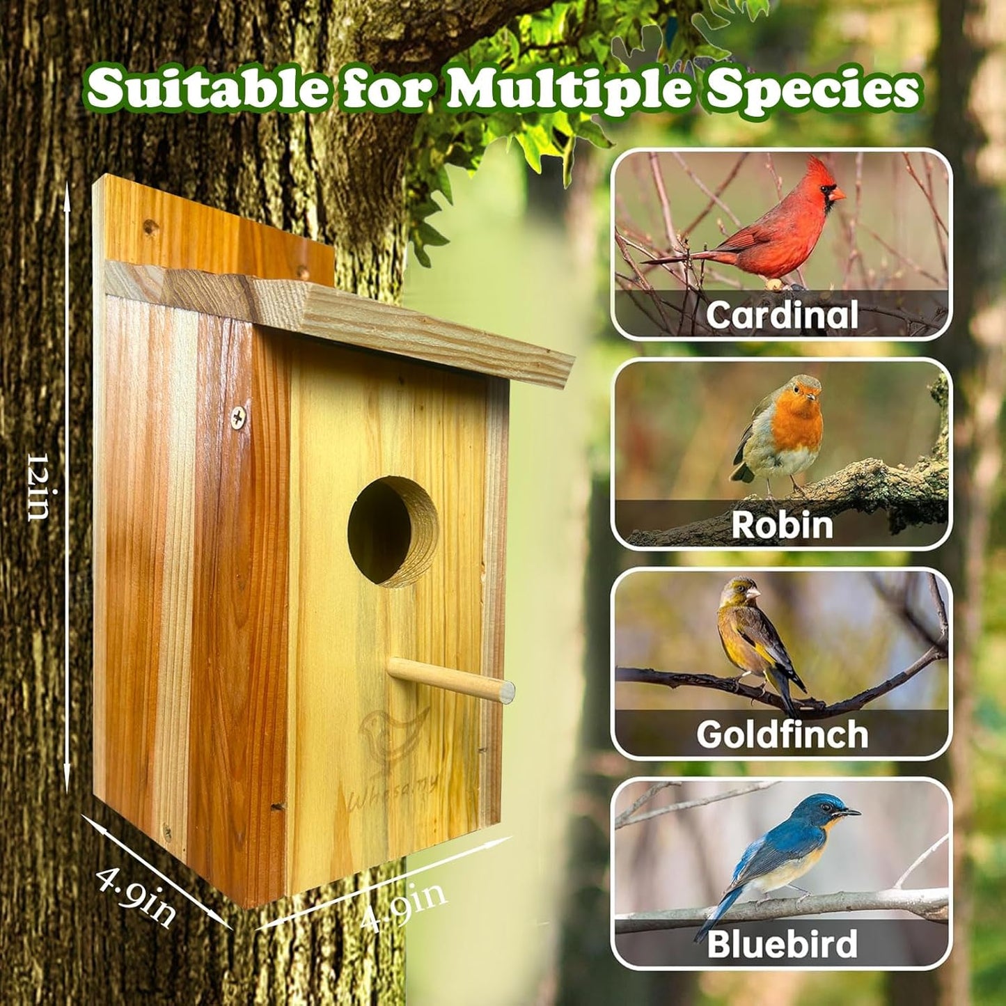 Large Bird House, Bird Houses for Outside Clearance, Cedar Birdhouses for Outdoors, Wood Birdhouse with Secure Latch, Bluebird Houses for Wren Swallow Finch Hummingbird