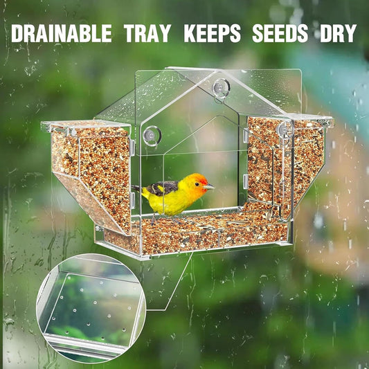Bird Feeder for Window - Suction Cup Clear Yard Feeding Box | Squirrel