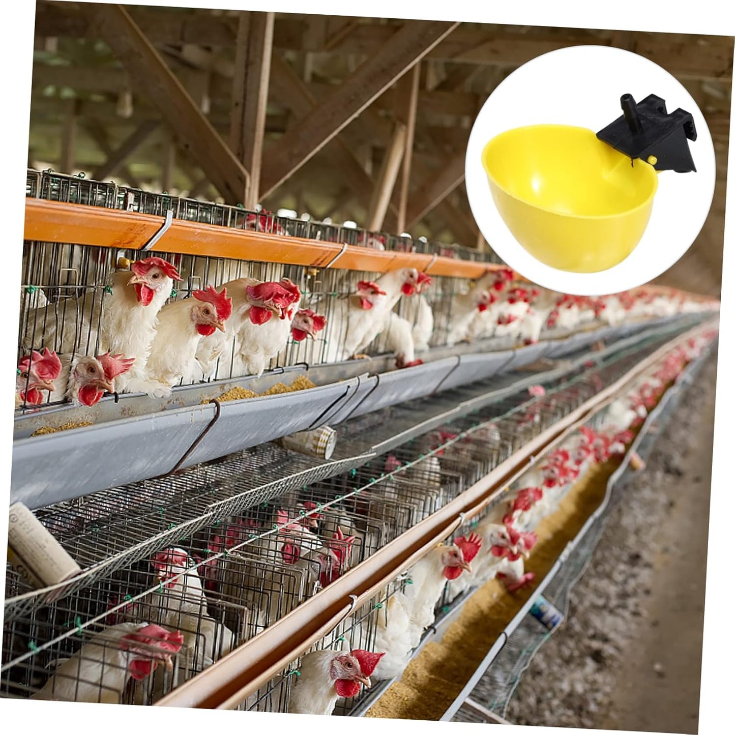 Milisten 10pcs Automatic Pigeon Water Feeders Drinking Bowls for Quail