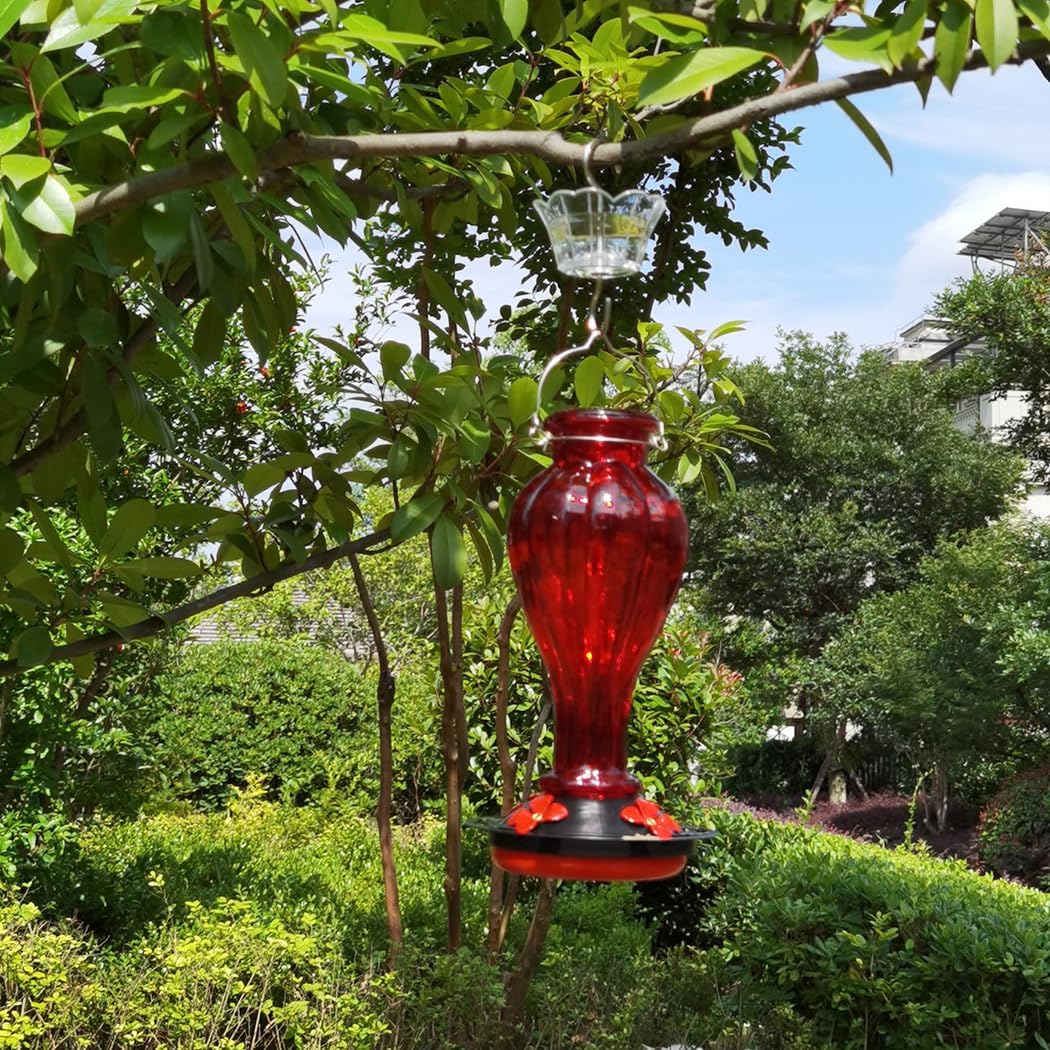 Hummingbird Feeder for Outdoors Hanging - Red Glass Nectar Feeding Bottle Including Clear Ant Moat - 24 OZ (710ml), 4 Red Flower Ports, Black Cover