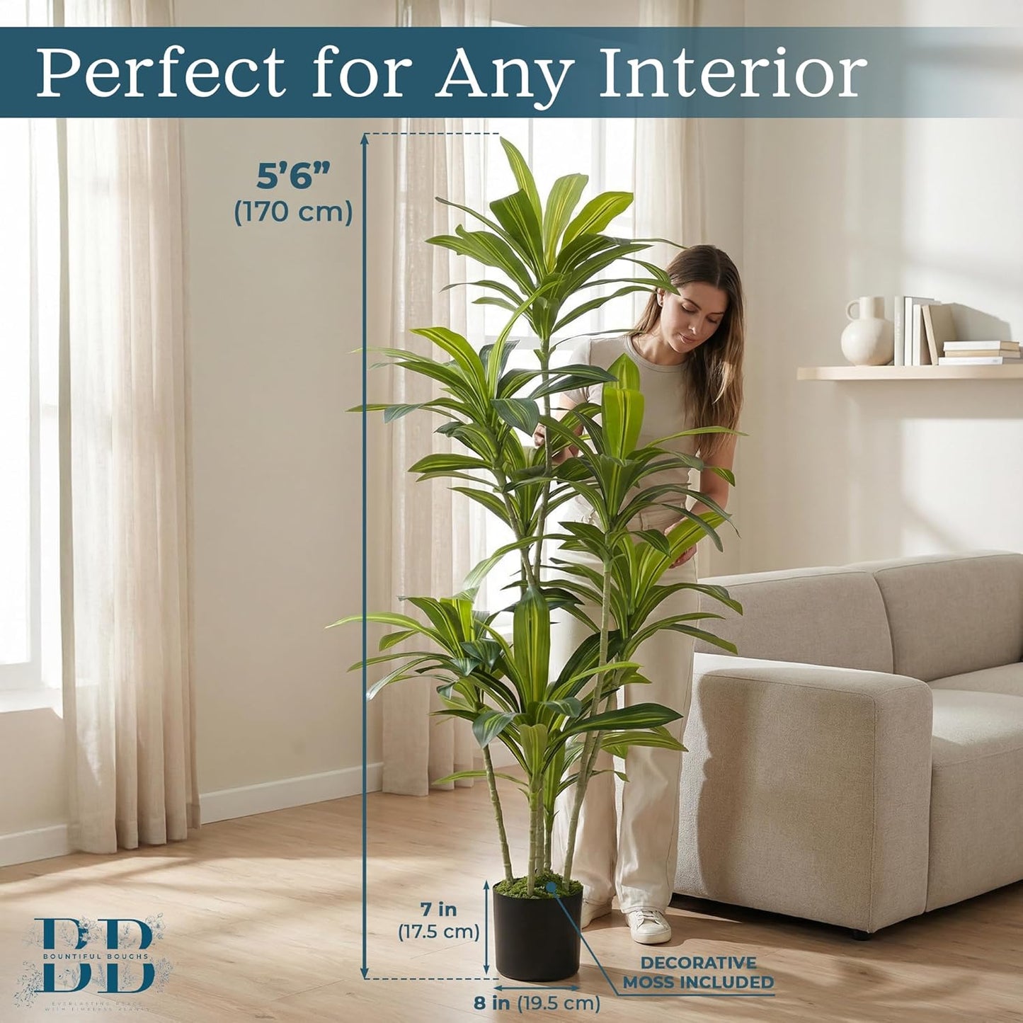 5’6” (170 cm) Dracaena Artificial Tree with Small Black Pot & Moss – Lifelike Natural Look, Maintenance-Free, Indoor & Outdoor Plant for Home, Office, Balcony & Patio