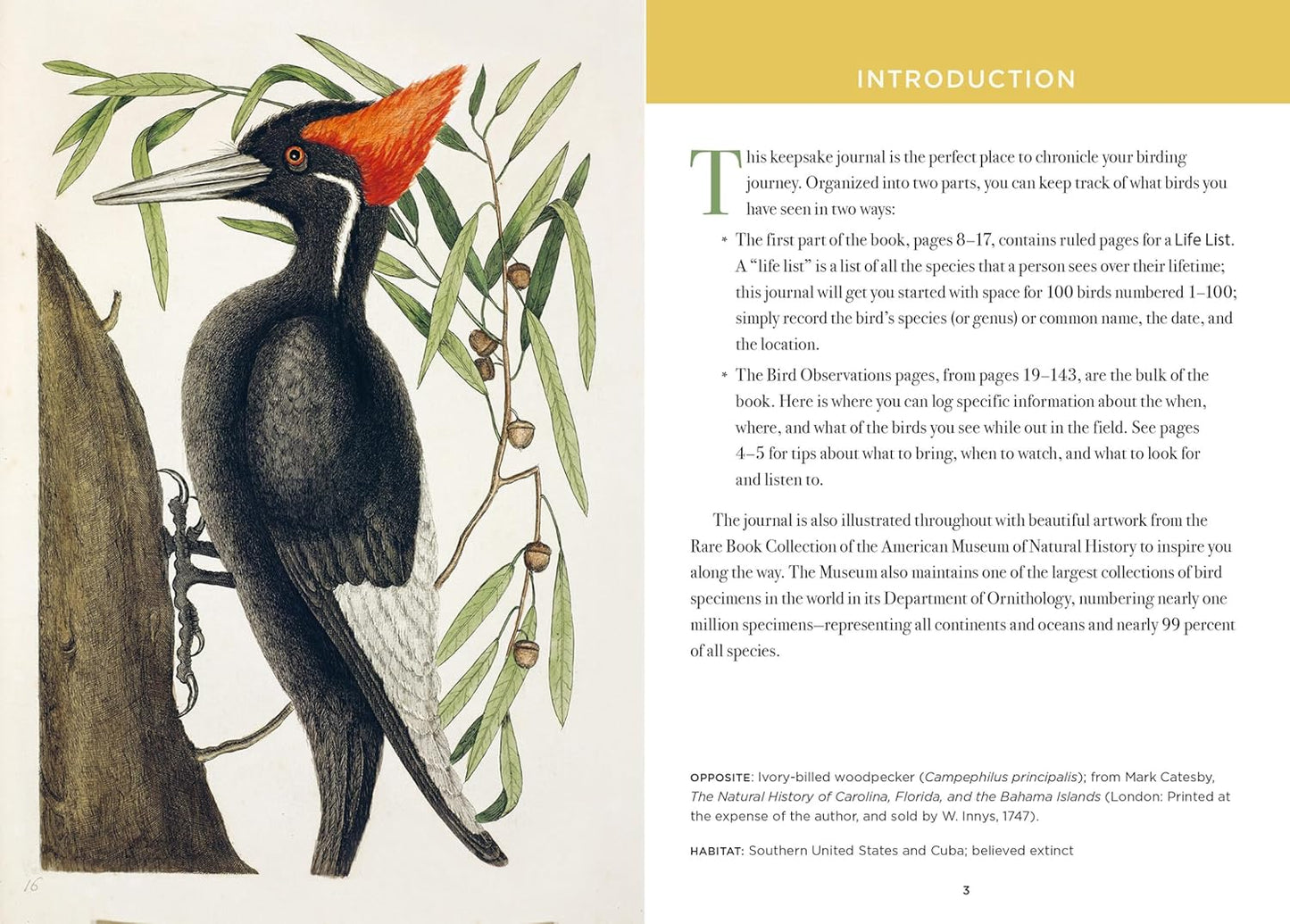 The Birdwatcher's Field Journal: A Life List and Birding Diary (Natural Histories Gift)