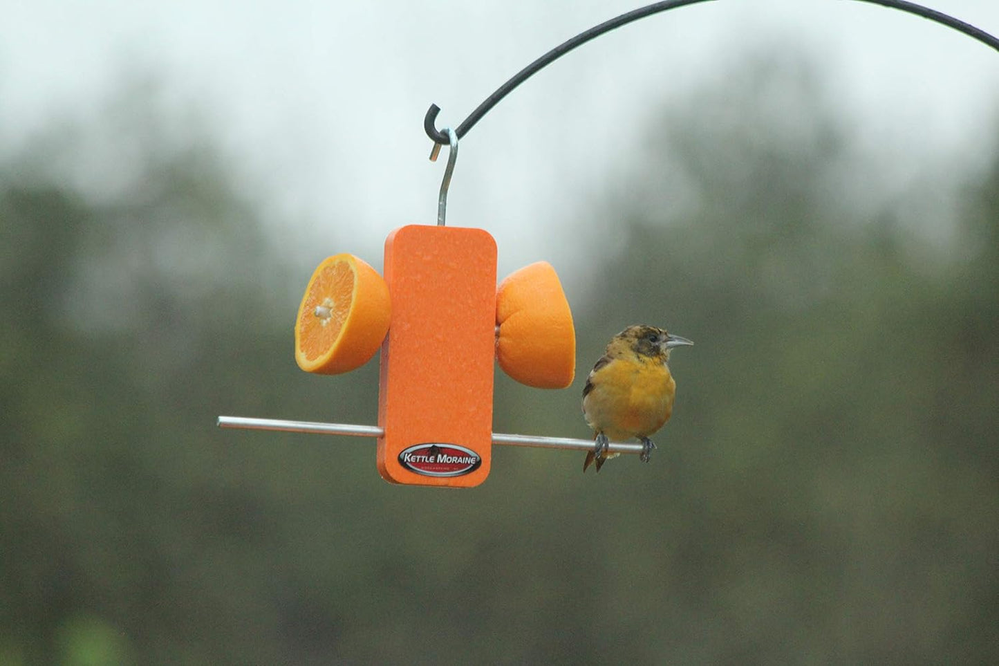 Kettle Moraine Recycled Single Oriole Orange Fruit Stick Feeder