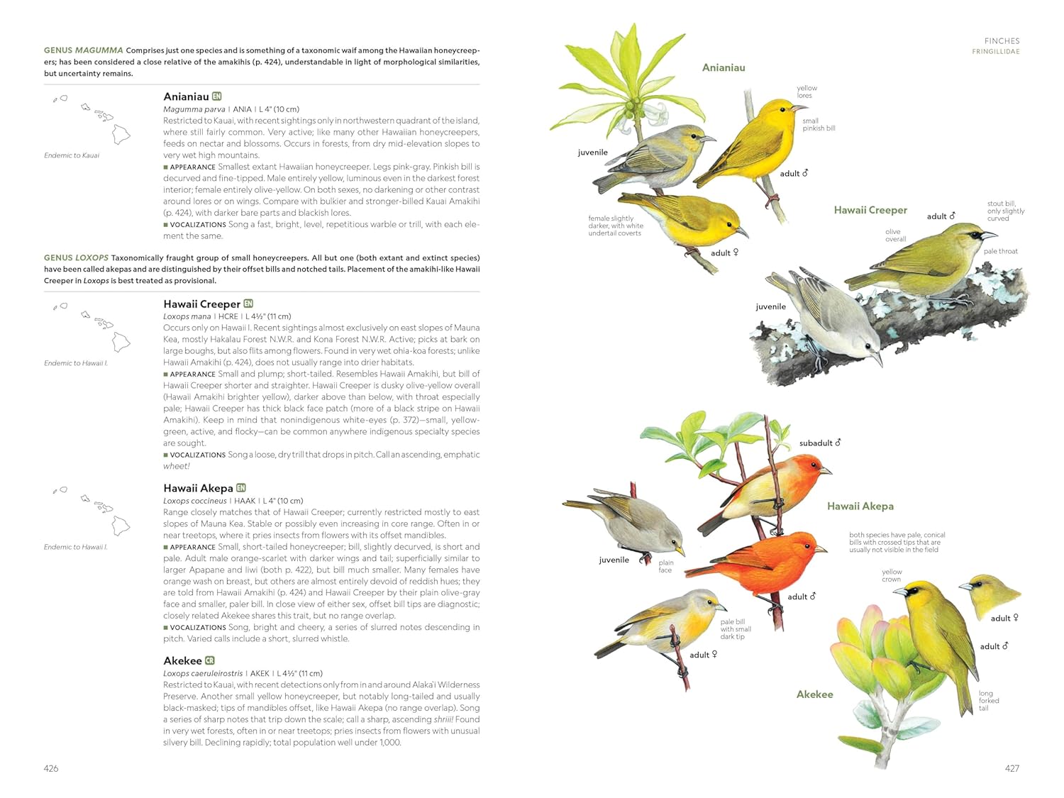 National Geographic Field Guide to the Birds of the United States and 
