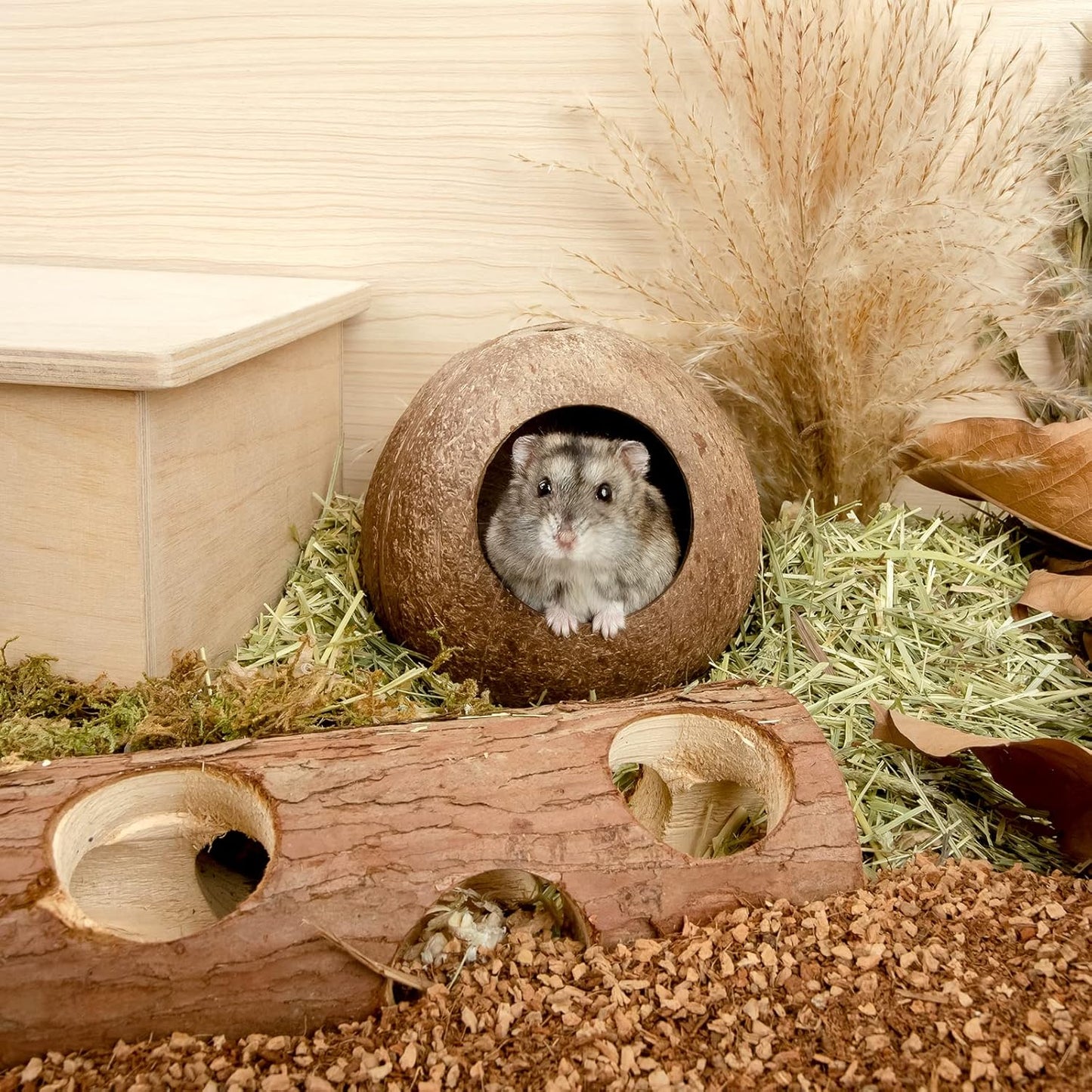 andwe Coconut Hut Hamster House Bed for Gerbils Mice Small Animal Cage