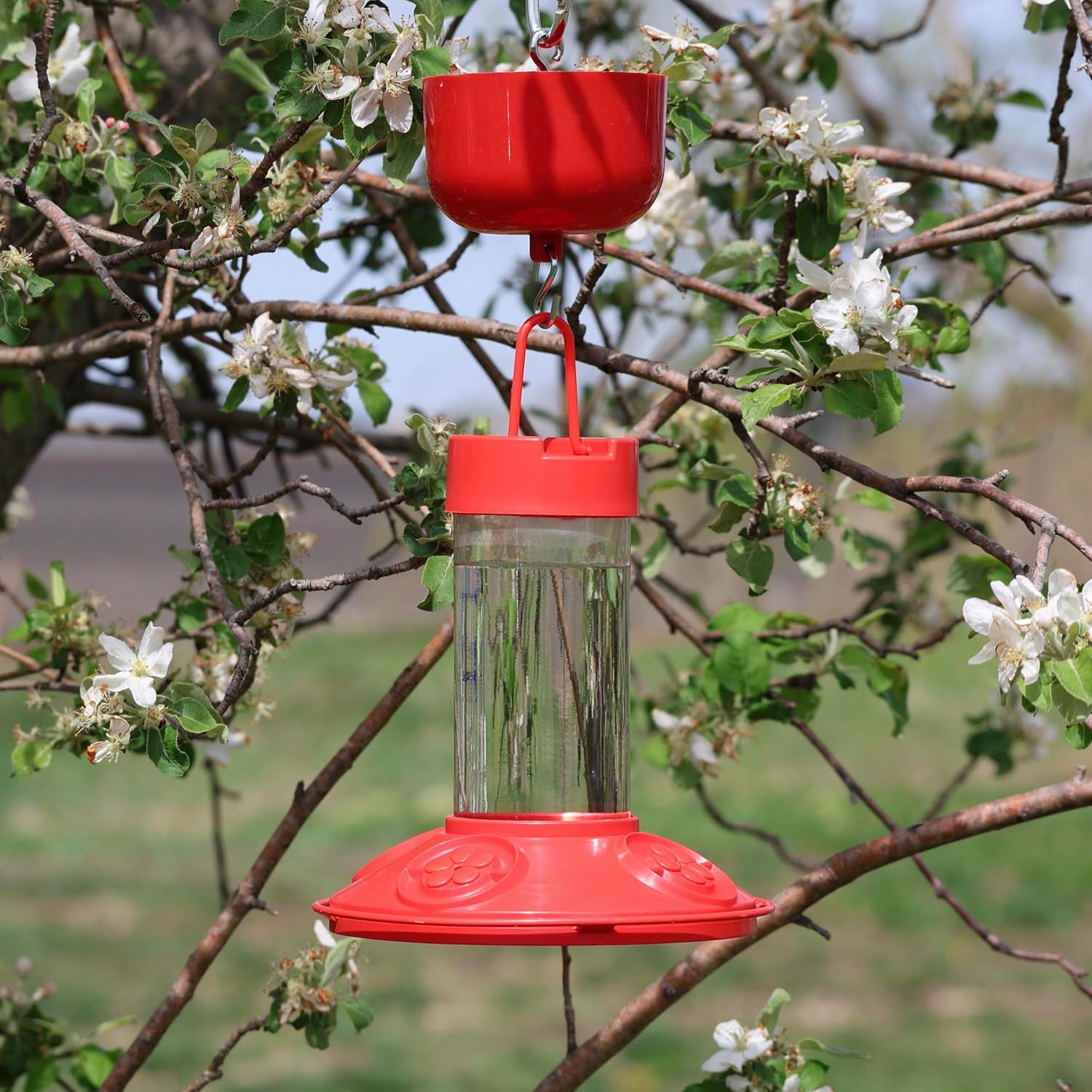 Songbird Essentials Nectar Protector Junior, Bird Feeder Protection, R