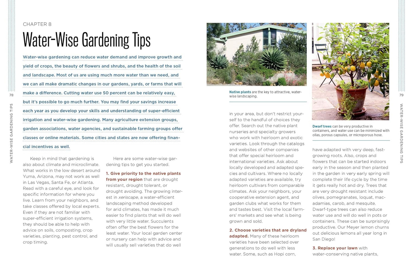 Gardening with Less Water: Low-Tech, Low-Cost Techniques; Use up to 90