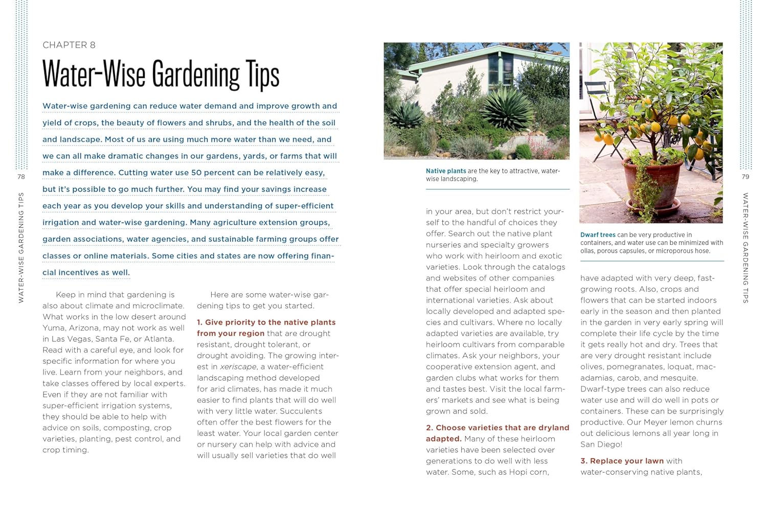 Gardening with Less Water: Low-Tech, Low-Cost Techniques; Use up to 90
