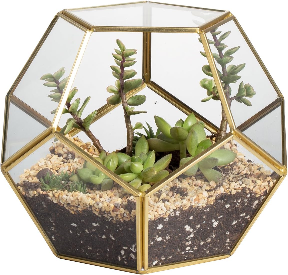 NCYP No Door Glass Terrarium for Small Cactus, Succulents - Gold Geometric Planter Pot, Home Office Tabletop Miniature Garden Decor, 6.89 x 6.89 x 5.9 Inches, Handmade (No Plants)