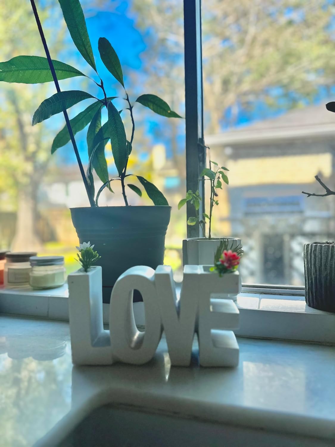 Love Vase, Word Vase, Flower Pot, Artificial and Real Plant Holder, Small Planter, TLA, They Love Abe, Eco-Friendly, Custom Vase, Plant Decor