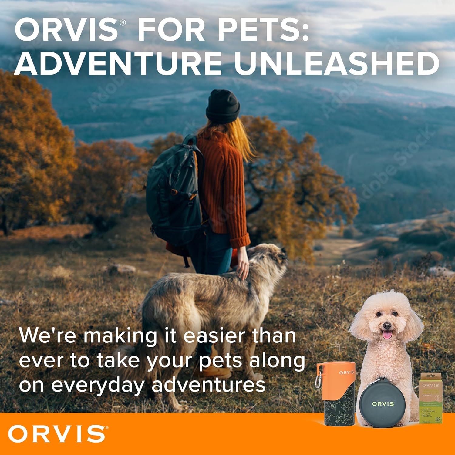 Orvis Pet Travel Collapsible Feeder with Food + Water Dish, 2-in-1, BP