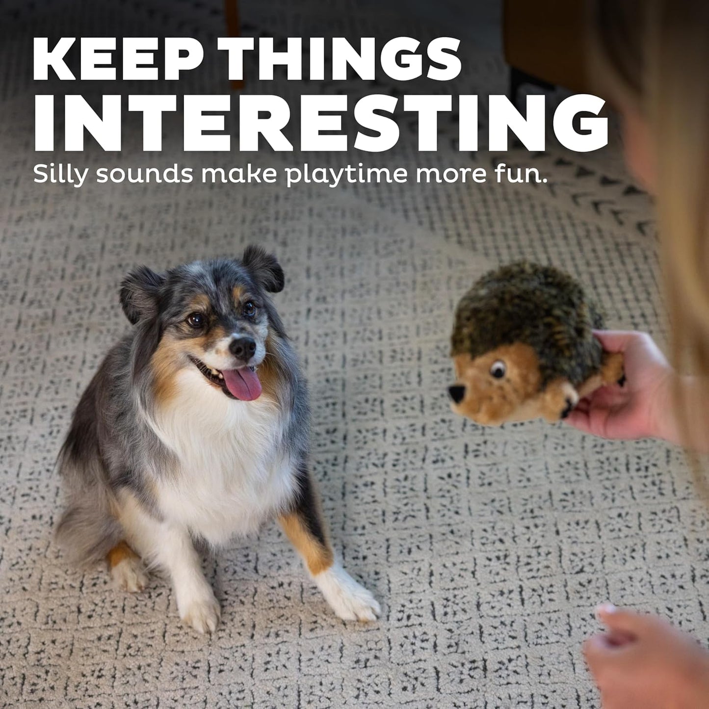 Outward Hound Hedgehogz Stuffed Dog Toy – Soft Plush Hedgehog, Grunts 