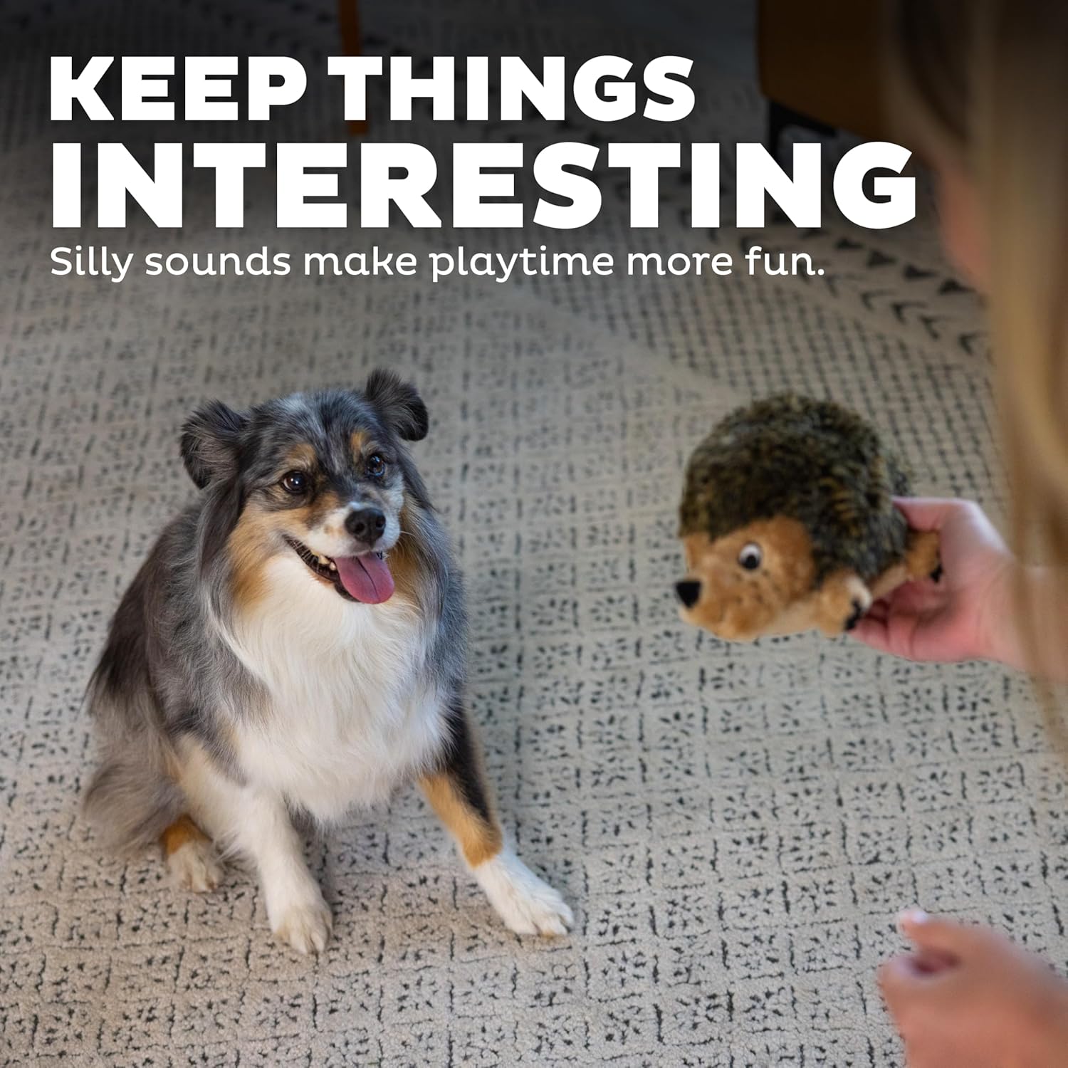 Outward Hound Hedgehogz Stuffed Dog Toy – Soft Plush Hedgehog, Grunts 