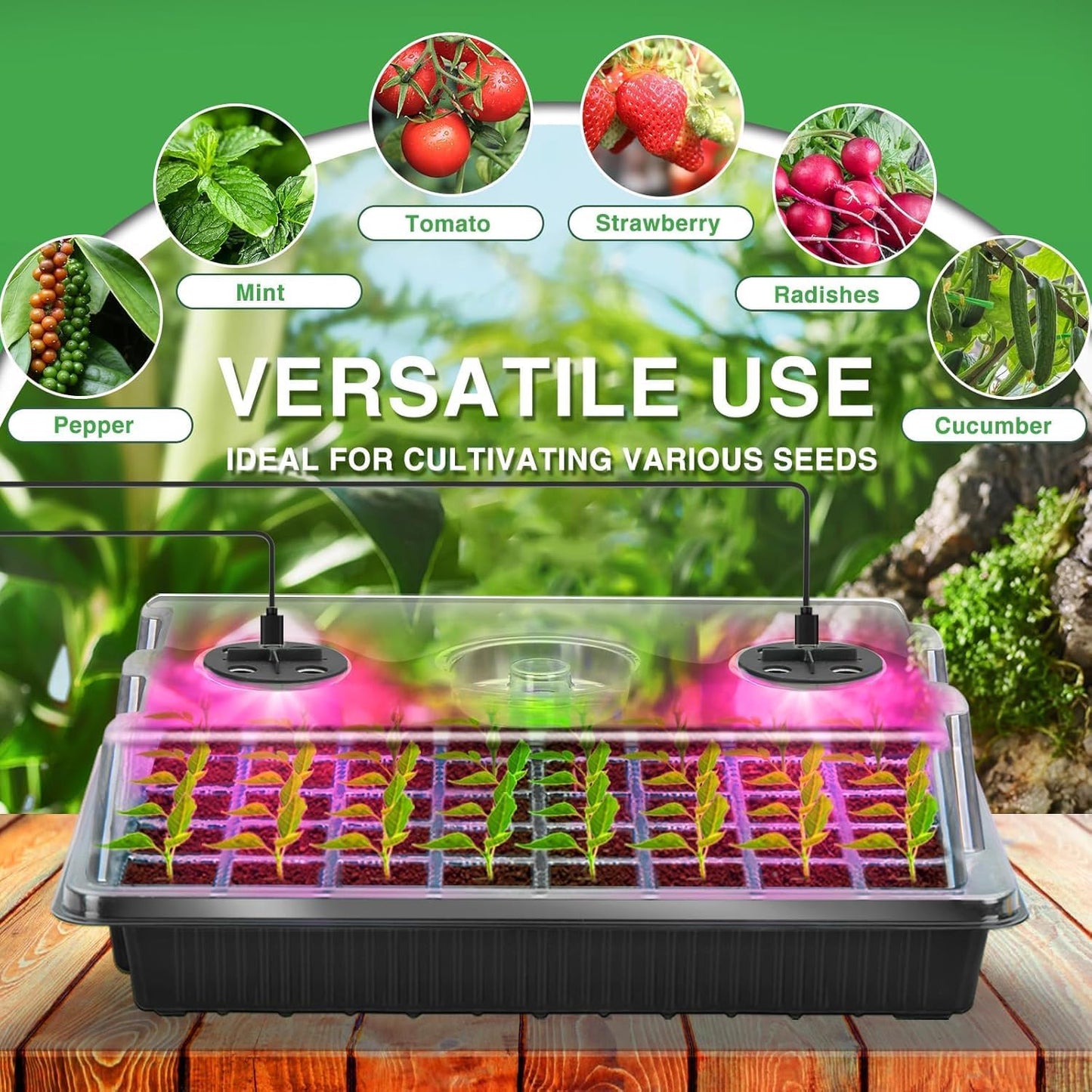 YAUNGEL Seed Starter Tray with Grow Light, Seed Starter Kit with Timin