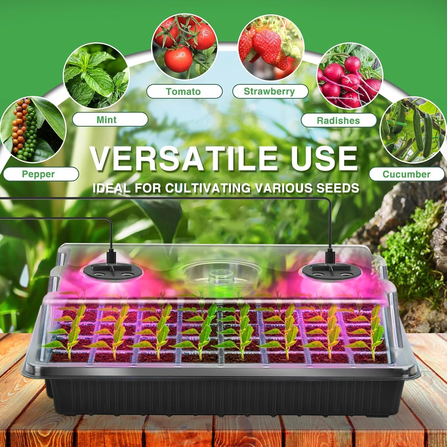 YAUNGEL Seed Starter Tray with Grow Light, Seed Starter Kit with Timin