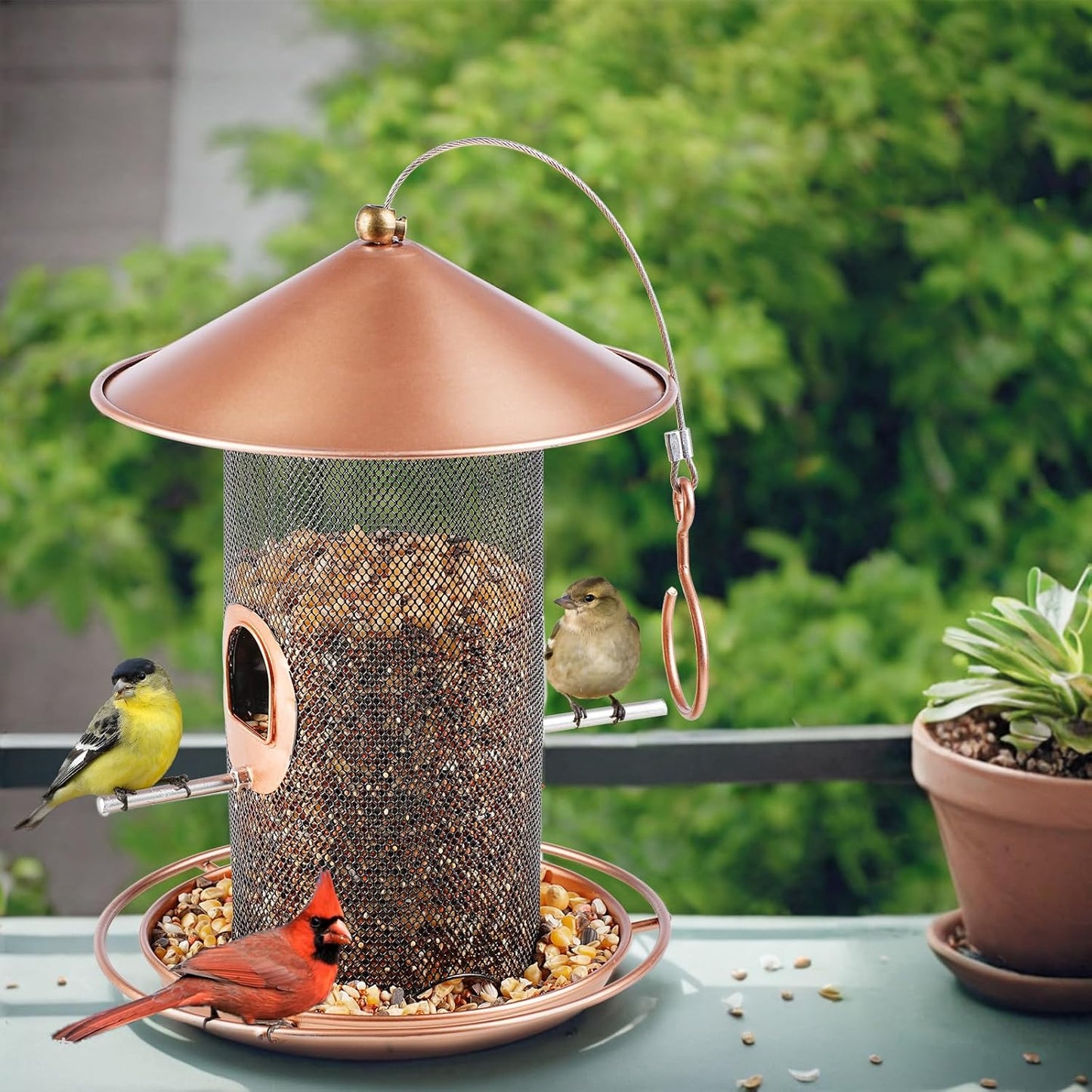 Bird Feeder for Outdoor, Metal Wild Bird Feeder Hanging Outside, 7.5" Copper Roof and 360 Degree Feeding Tray with 2 Extra Feeding Ports, 3 Lbs Bird Seeds Capacity