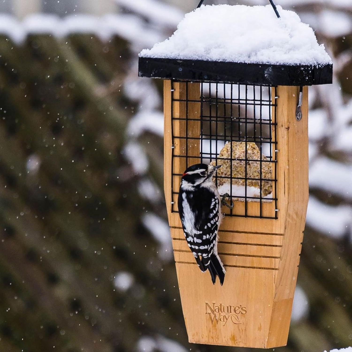 Nature’s Way Cedar Woodpecker Suet Feeder with Tail Support, Heavy-Dut
