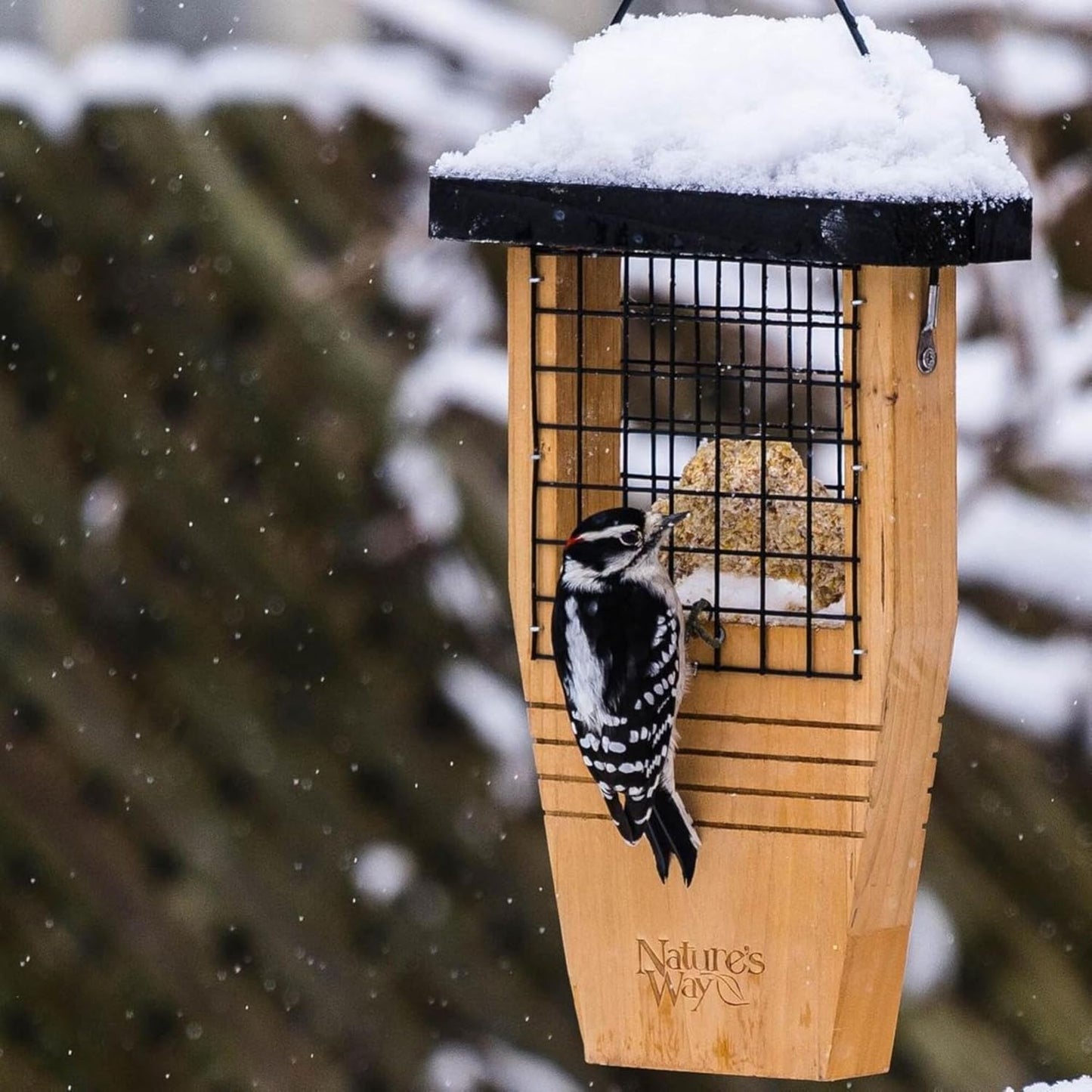 Nature’s Way Cedar Woodpecker Suet Feeder with Tail Support, Heavy-Duty Wood Design, 1 Suet Cake Capacity, Black Weather Guard Roof