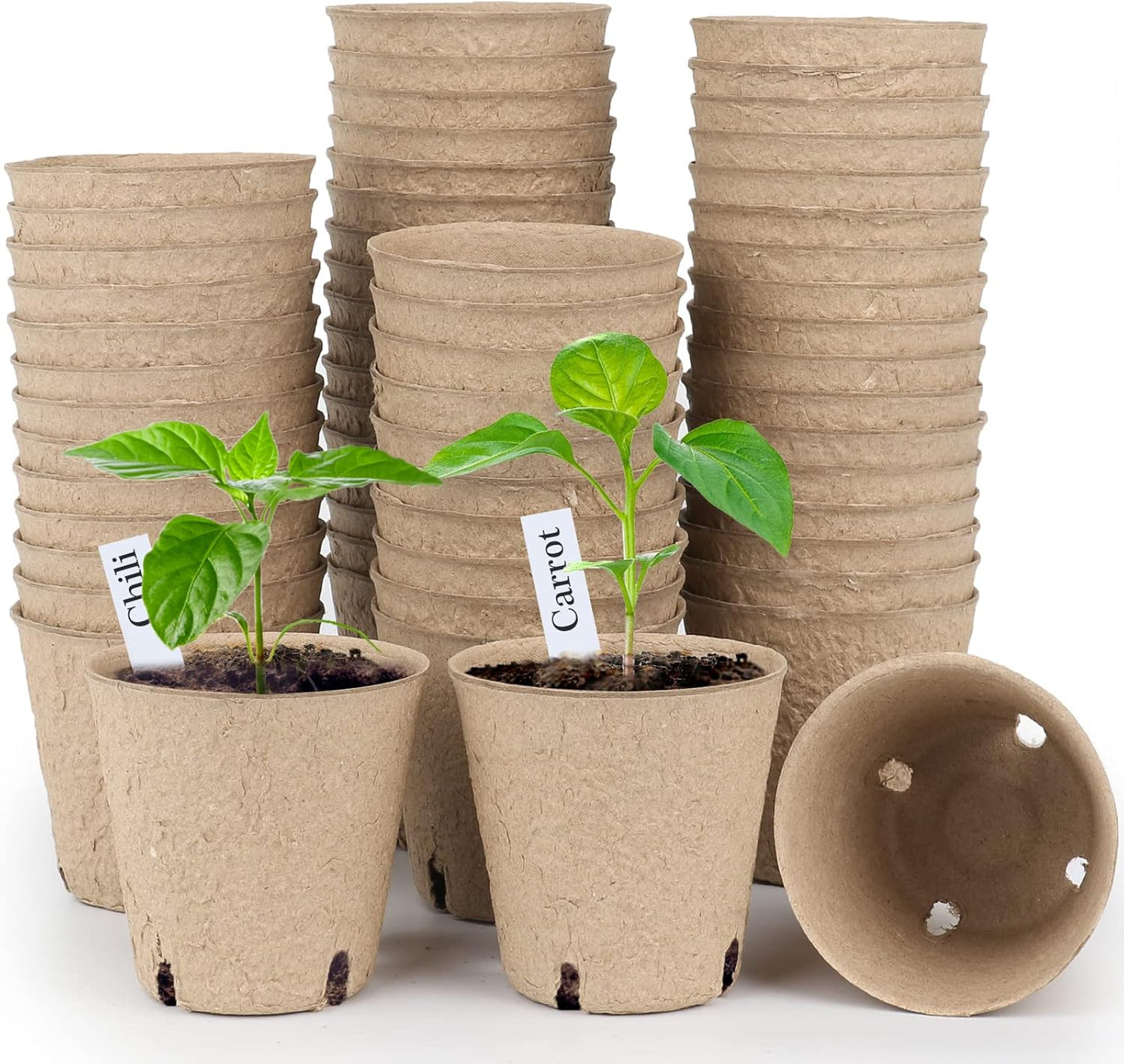 homenote Peat Pots, 60 Pcs 3.15 Inch Seed Starting Pots with Drainage 