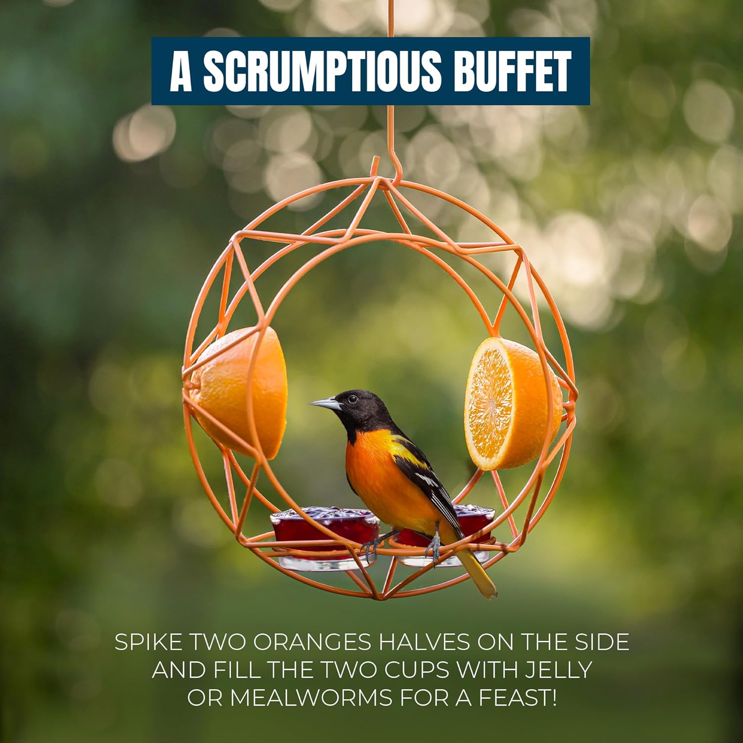 MEKKAPRO Sun Baltimore Oriole Feeder for Outdoors, Jelly and Orange Me
