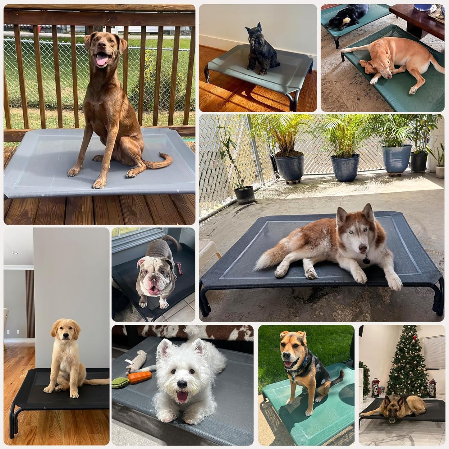 Elevated Dog Bed Raised Outdoor Dog Cot for Large Dogs, Installation R