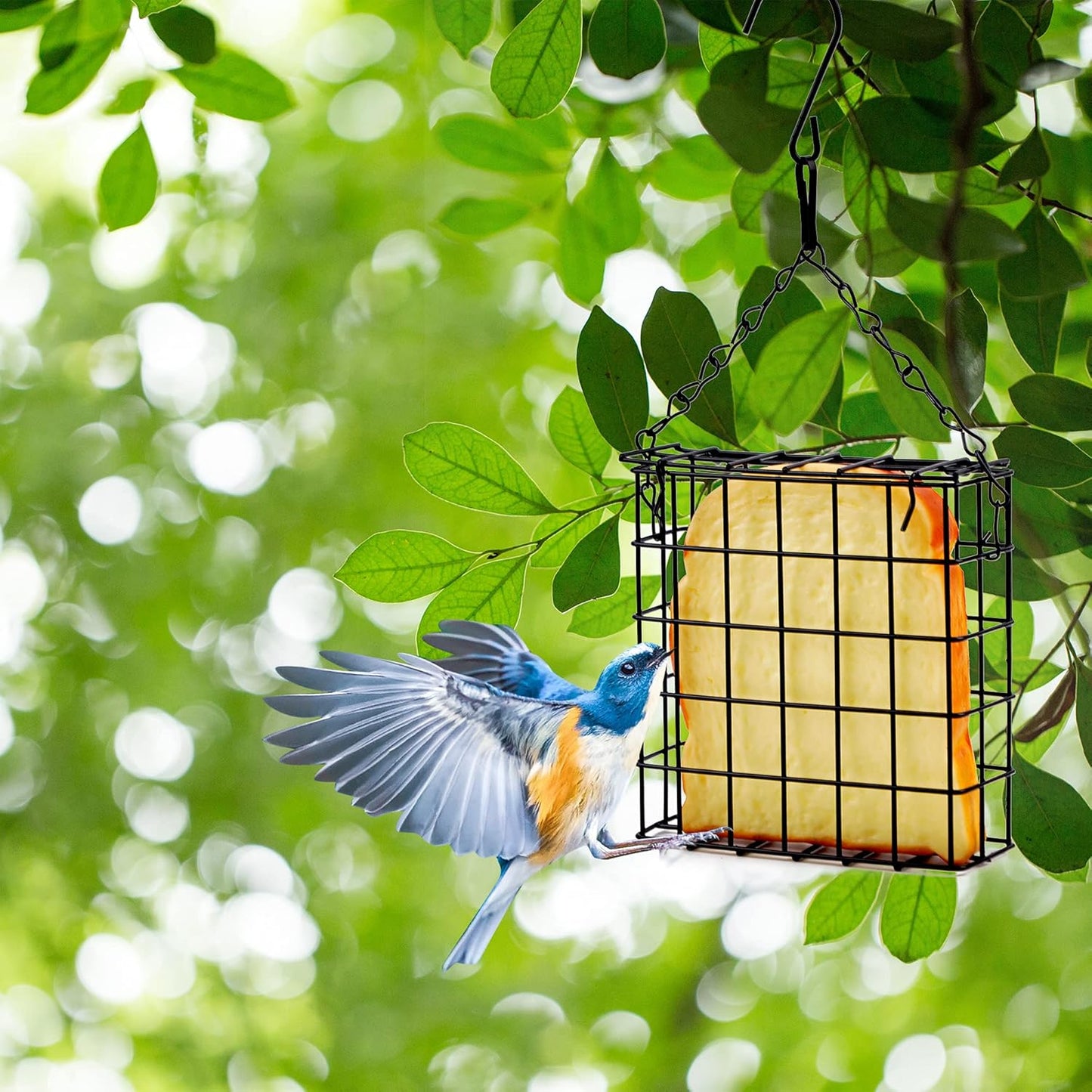 2Pcs Suet Bird Feeders, Outdoor Garden Cages for Outside Hanging, Single Suet Cake, One Suet Capacity