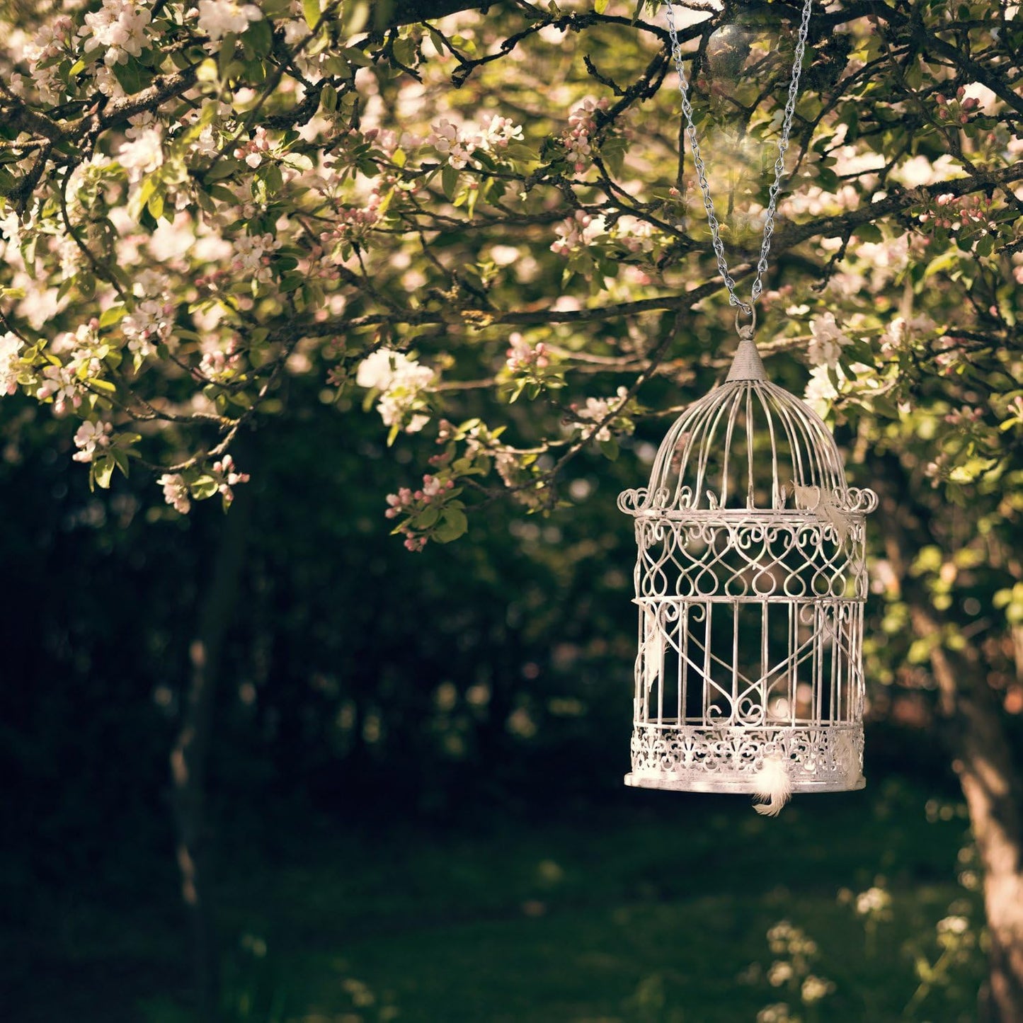 EBOOT 8 Pack 9.5 Inches Hanging Chains for Bird Feeders, Planters, Billboards, Chalkboards, Lanterns, Wind Chimes and Decorative Ornaments (Black)