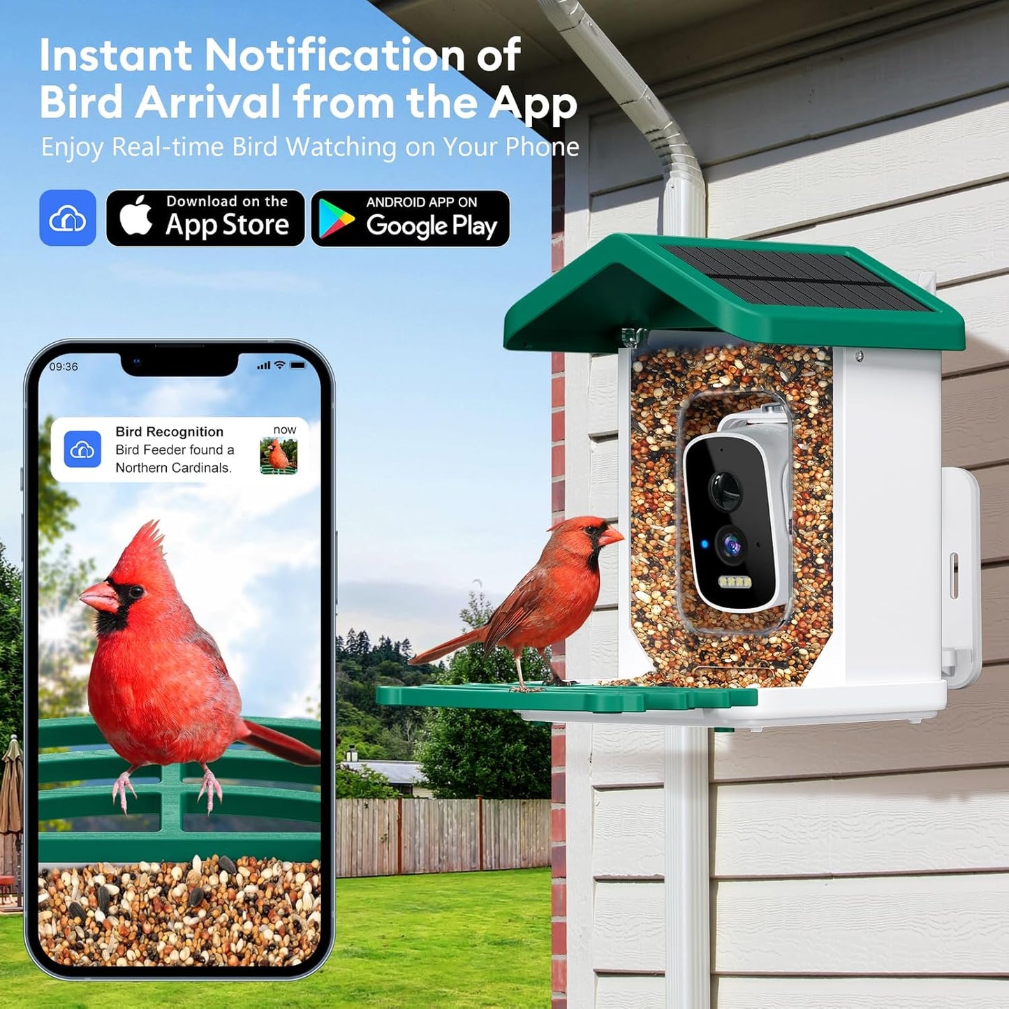 Smart Bird Feeder with Camera, AI Bird Species Identification Solar Po