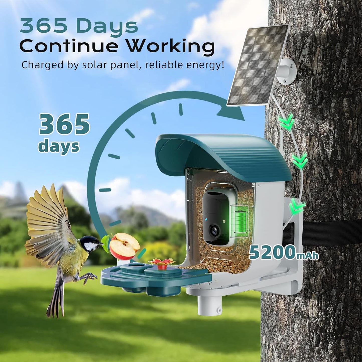 Bird Feeder with Camera, Solar Powered Outdoor Birdhouse, AI Smart Identify 10000+ Birds Species, Instant Motion Detection & Alerts, Watching & Capture BirdVideo, Gifts for Bird-Lovers(Cyan-Blue)
