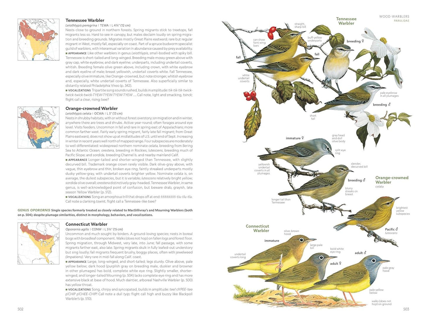 National Geographic Field Guide to the Birds of the United States and 