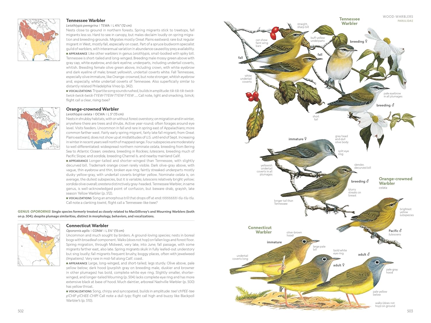 National Geographic Field Guide to the Birds of the United States and 