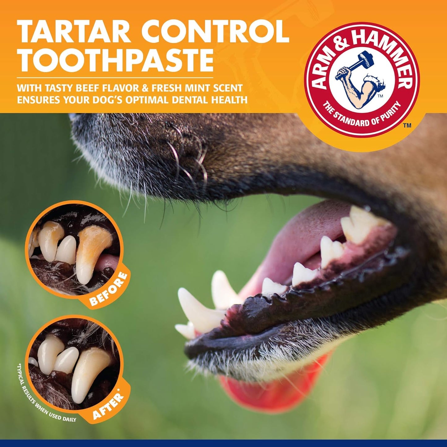 Arm & Hammer for Pets Tartar Control Dog Dental Kit, Enzymatic Toothpa