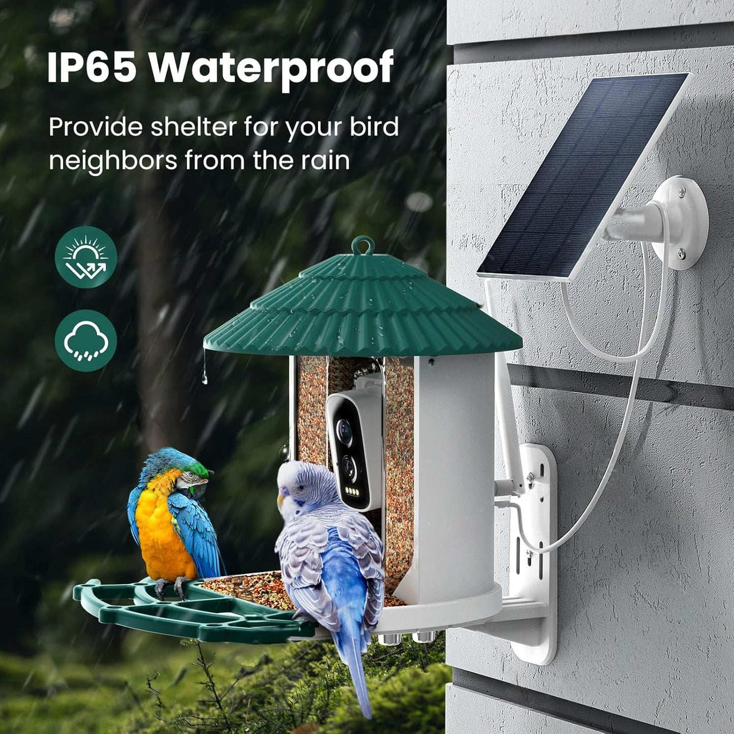 Bird Feeder with Camera,Ai Recognition 10000+ Species,3K Video with Noise Reduction,Solar Powered Bird House for Outdoors Bird Watching