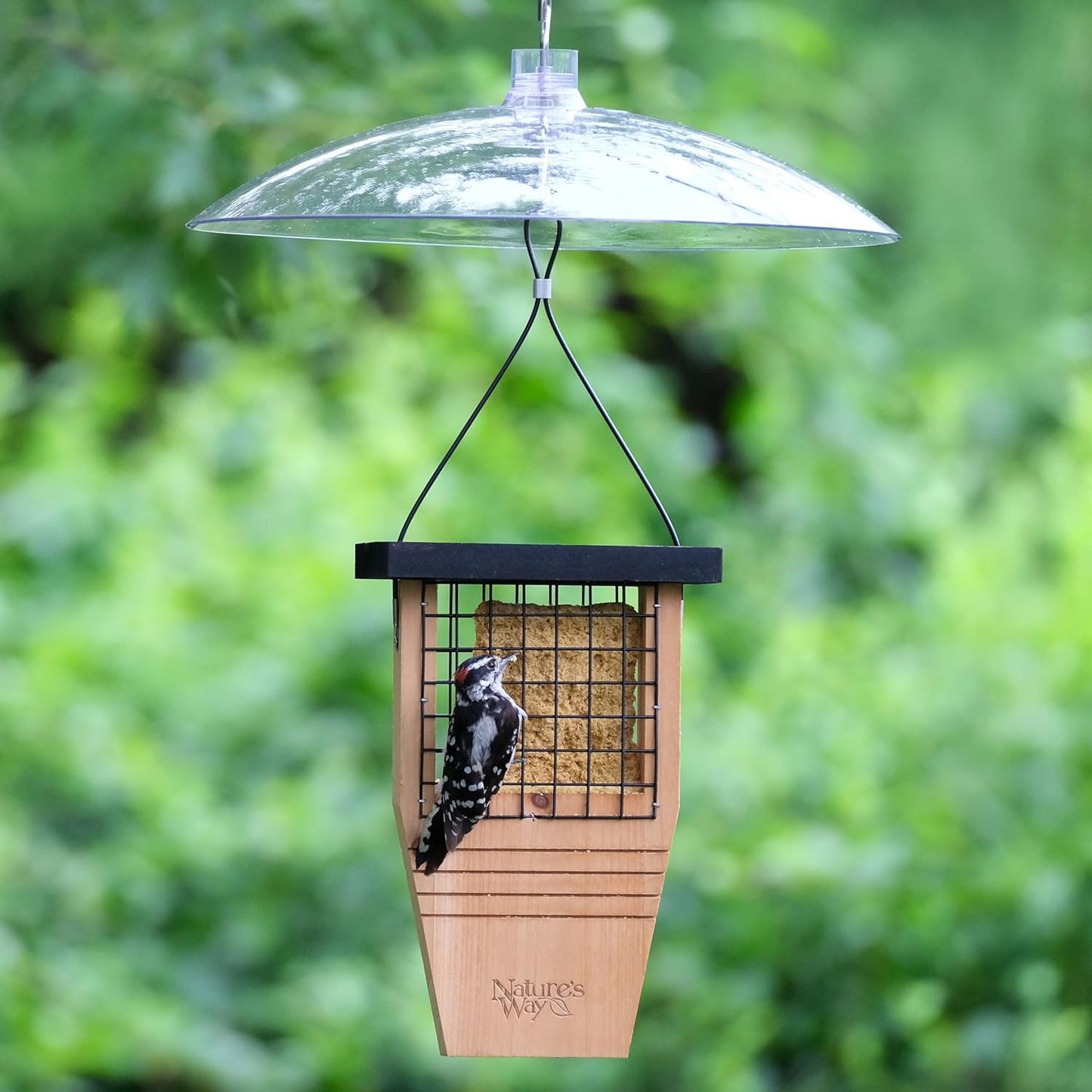 Squirrel Shield 16 inch Plastic Squirrel Baffle - Protects Hanging and Pole Mounted Feeders, Clear